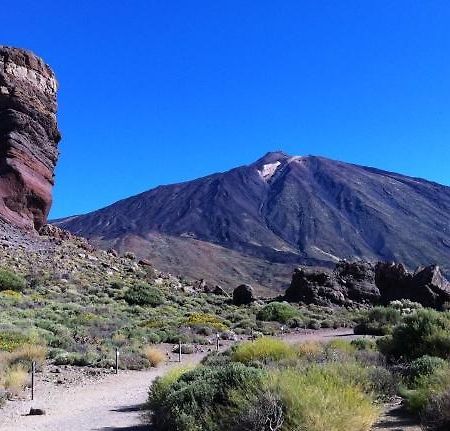 Marody Tenerife House El Medano  Ngoại thất bức ảnh