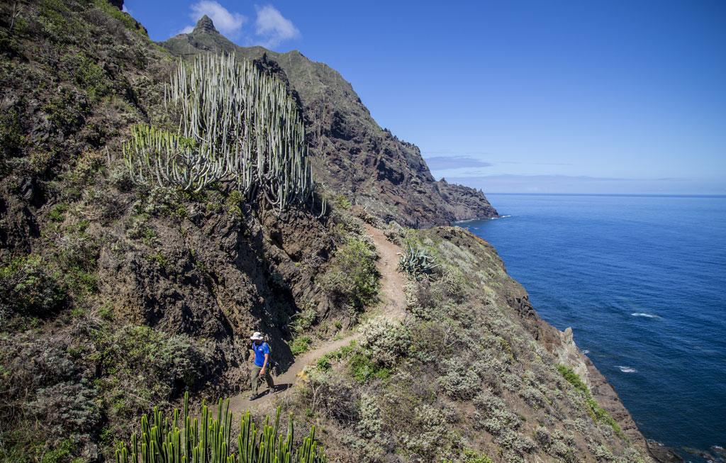Marody Tenerife House El Medano  Ngoại thất bức ảnh