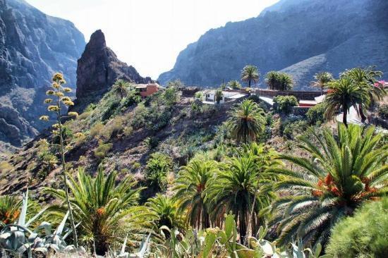 Marody Tenerife House El Medano  Ngoại thất bức ảnh